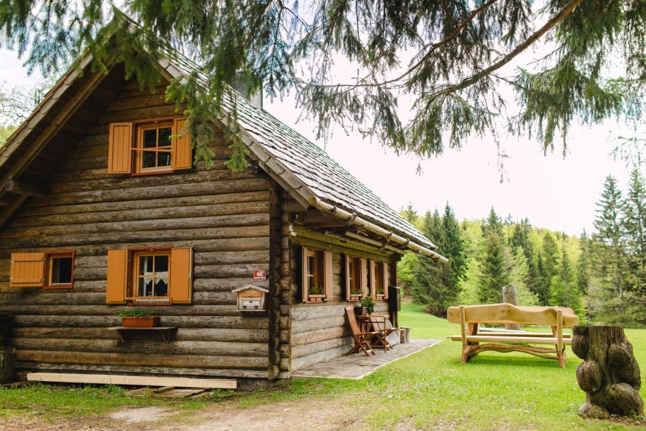 博希尼Wood House Irena-Pocitniska Hisa别墅 外观 照片
