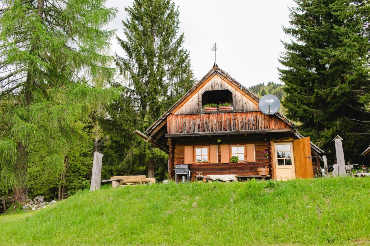 博希尼Wood House Irena-Pocitniska Hisa别墅 外观 照片